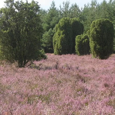 ホテル Heiner Meyer Wahrenholz