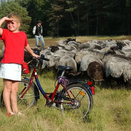 ホテル Heiner Meyer Wahrenholz