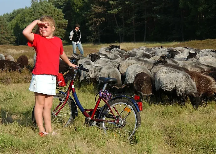 Отель Heiner Meyer Wahrenholz