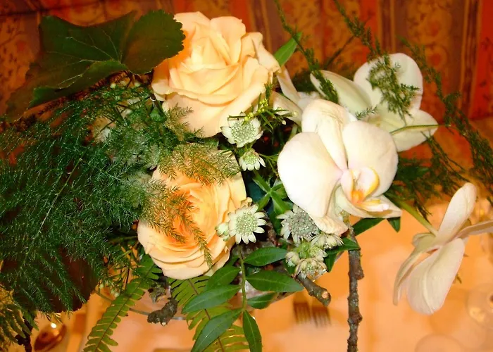 Отель Heiner Meyer 3*